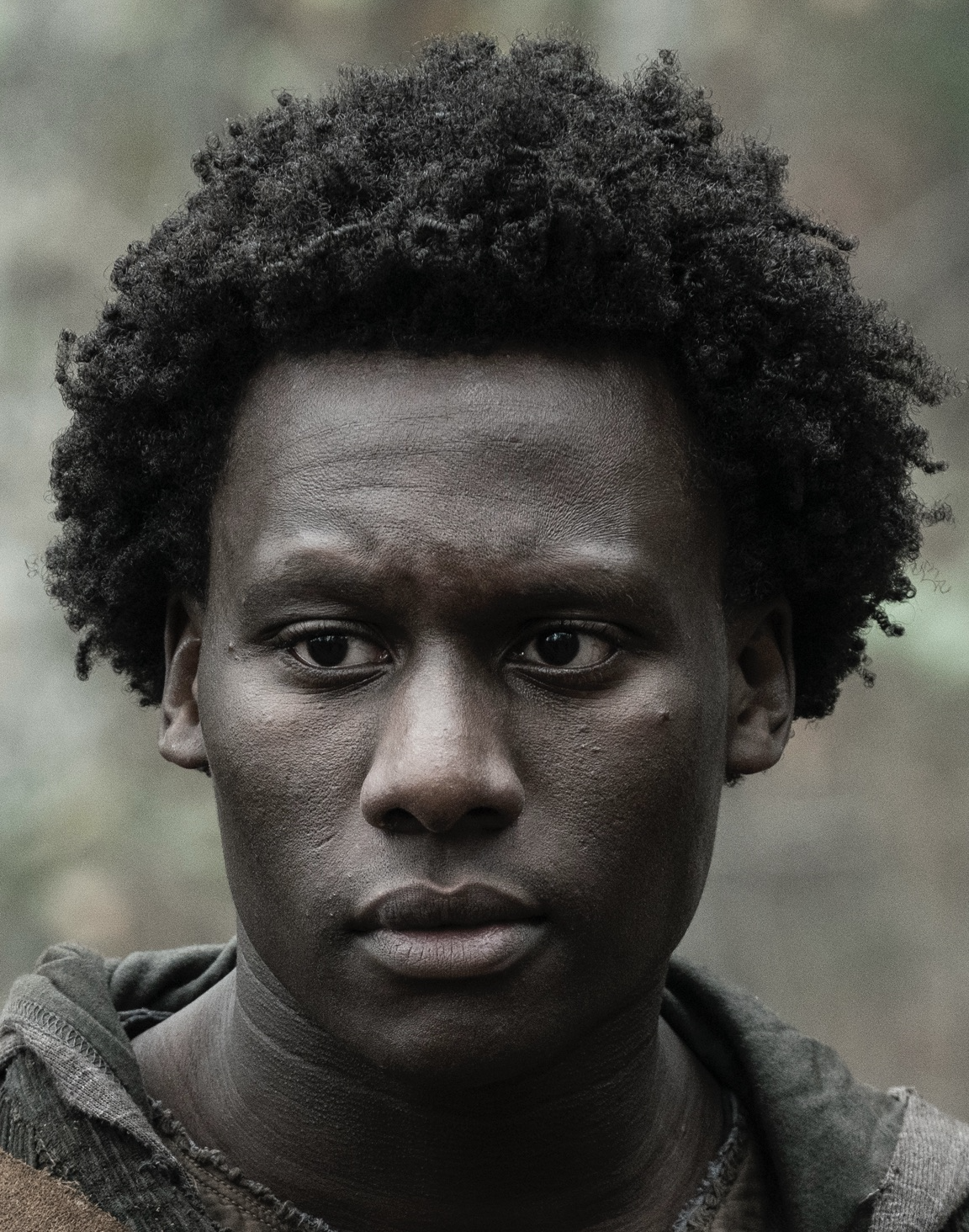 Virgil (TV Series), Walking Dead Wiki