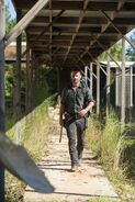 Rick Grimes 7x12