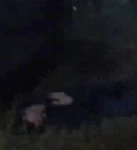 Savior20 (Astray).png (79 KB) "Do Not Send Us Astray"