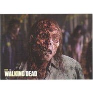 The Walking Dead - Sticker (Season 2) - S23