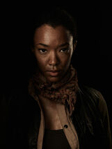 Sasha Williams