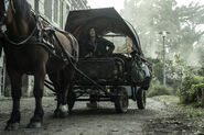 Daryl Dixon 1x02 Horse and Daryl