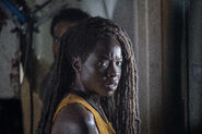 10x13 michonne and virgil