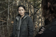 11x22 Rosita and Daryl