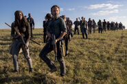 TWD 816 The Militia (6)