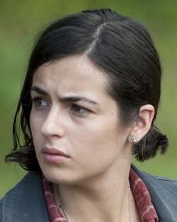 Tara Chambler TV Series Walking Dead Wiki Fandom