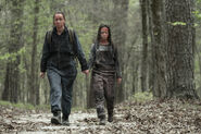 ToTWD 1x03 Long Road