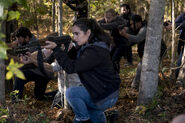 TWD 816 The Militia