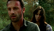 Rick about Shanes death