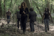 10x01 Group woods