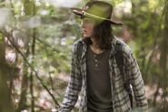 Normal TWD 806 JLD 0619 0376-RT-min