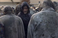 10x16 daryl in heard