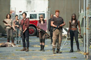 Grupo-the-walking-dead-5-temporada-coda