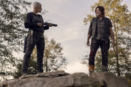 Daryl-Alpha-9x15