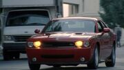 T350779.jpg