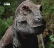 Tyrannosaurus rex