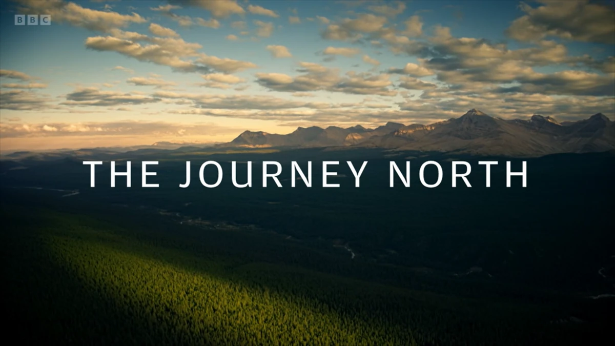 The Journey North Walking With Wikis Fandom