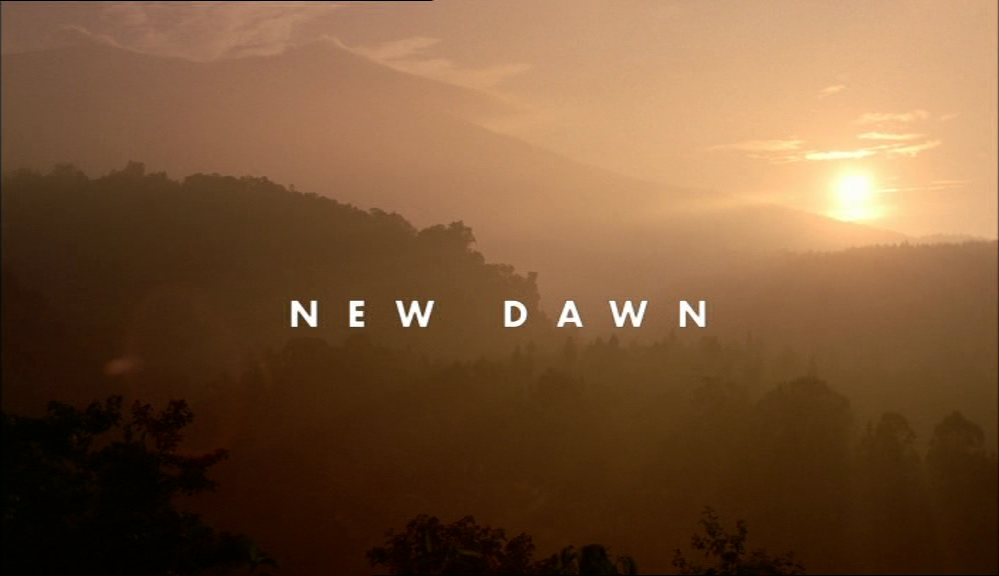 a new dawn