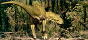 Polar Allosaur