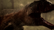Carcharodontosaurus