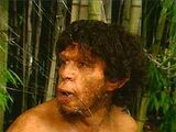 Homo erectus