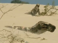 2B655300-0A1C-4224-9356-B834C124B39A.jpeg (580 KB)