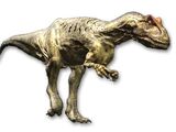 Allosaurus