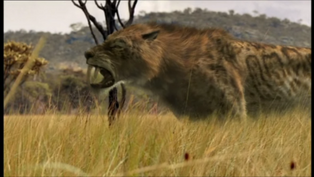 Smilodon-1