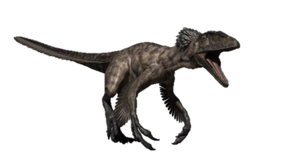 Deinonychus antirrhopus - the Terrible Claw Dinosaur