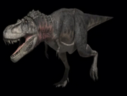 Tarbosaurus