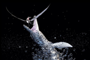 Dorygnathus being attacked by Liopleurodon