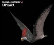 23FD2B64-8754-4E15-BAAB-8FCD263924CC.jpeg (142 KB)