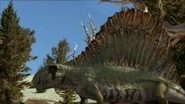 A female Dimetrodon.