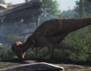 D9C830D4-43A4-4751-BEB0-93AA0A70521B.jpeg (1.22 MB) Lily