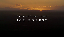 SpiritsOfTheIceForest