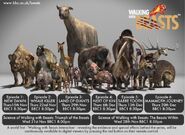 Tnt24.info Walking with - Monsters Dinosaurs Beasts Cavemen Eng Undertekster inkluderer .6841 438159