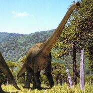 WWDBook Brachiosaurus