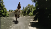 Giganotosaurus chasing 's car