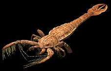 Megalograptus | Walking With Wikis | Fandom