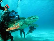 Archelon's animatronic