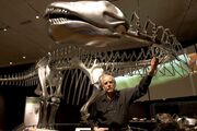 Kent Stevens with Diplodocus skeleton
