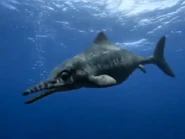 63D2F990-B288-4559-841F-1E4B7AAA103D.jpeg (542 KB)