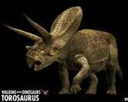 Torosaurus