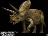 Ceratopsids