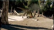 Tyrannosaurus attacking an Anatotitan