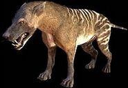 WWB-Hyaenodon-Render