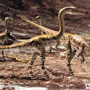 WWDBook Coelophysis