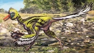 Buitreraptor
