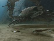 WWM1x1 Pterygotus.jpg (242 KB)