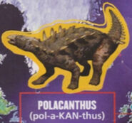 Polacanthus (Official Sticker Album)